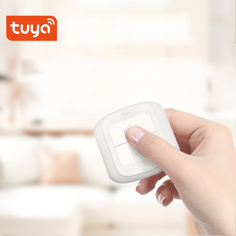 Tuya Zigbee WiFi Smart Switch  - Home Automation Ideas recensie en prijs