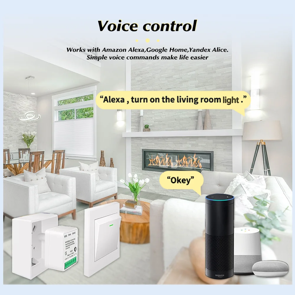 For Tuya Mini Smart WiFi Switc - Home Automation Diy recensie en prijs