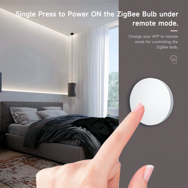 Zigbee3.0 2MQTT Smart Button S - Home Automation Ideas recensie en prijs